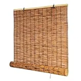 bananenpflanze pflege zimmer Musa dwarf (Bananenpflanze) kaufen main image 1